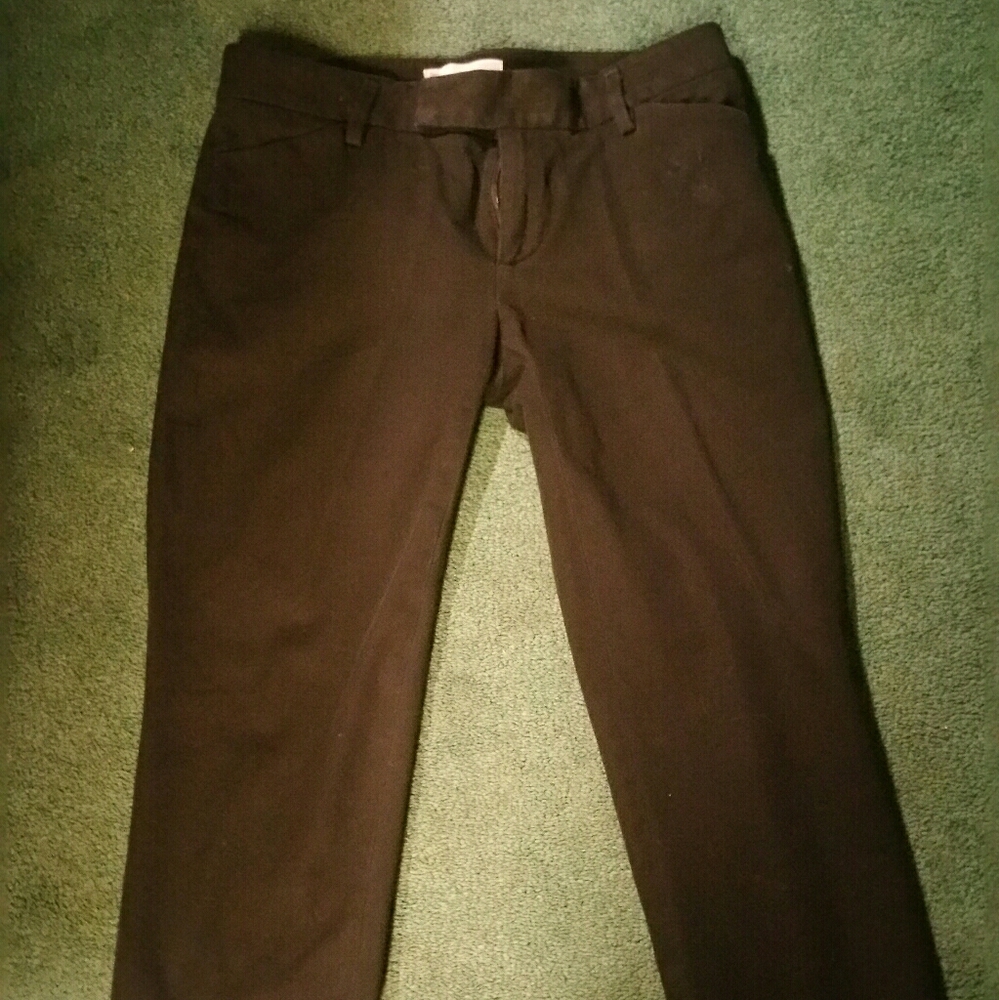 Pant